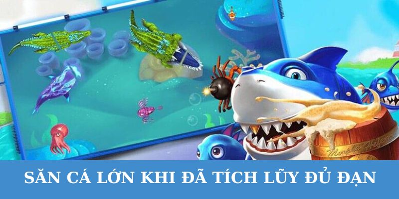 Nên săn cá lớn khi tích đủ đạn là mẹo bắn cá online hiệu quả.